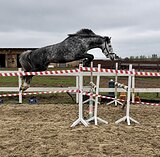 Срочно, 5 лет