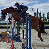 БУДЕННОВСКИЙ МЕРИН