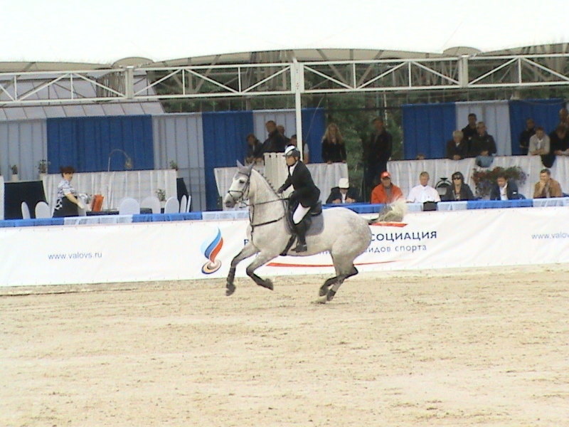 Чемпионат России 2008 года, Андриус Петровас