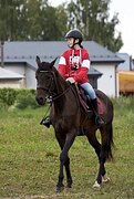 Кобыла в любительский конк