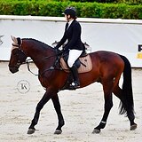 МАРШРУТЫ ДО 145 - 150 СМ 