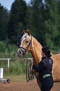 Спортивная помесь