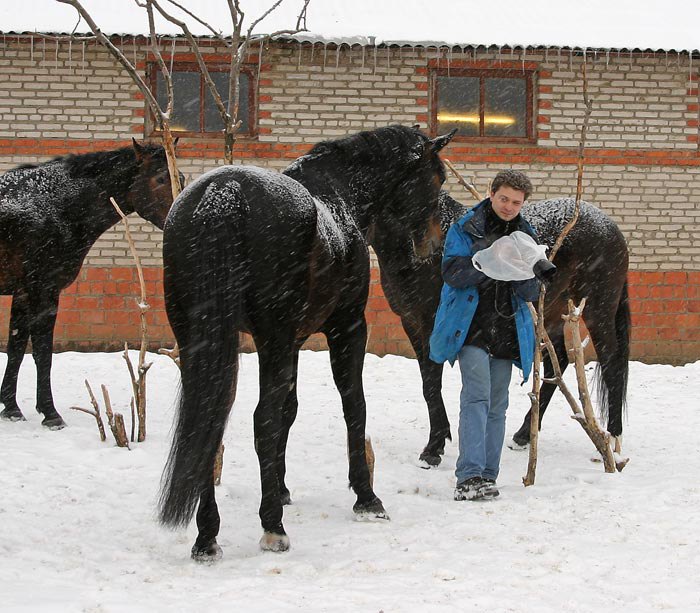 Недовольный Сашка, две любопытные лошади и одна морда в стороне