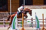 Кобыла 2015 гр, 172 вх