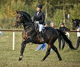МАРШРУТЫ 115, ЭЛЕМЕНТЫ ЮНОШЕ