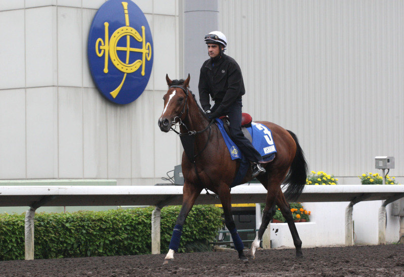 Hong Kong Race Track. 01.05.2014