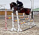 Хенкок шикарный хобик для д