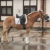 НЕВЕРОЯТНО КРАСИВЫЙ 