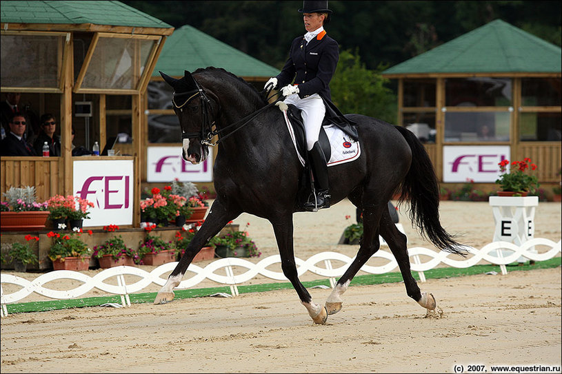 Van Grunsven,Anky NED/Keltec Salinero  