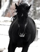 ЧИСТЫЙ ЛИСТ • БЕЗОПАСНЫЙ