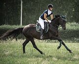 CCN1*, ЛК100, МАРШРУТЫ 120