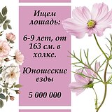 Юношеские езды. 5 млн. Надо.