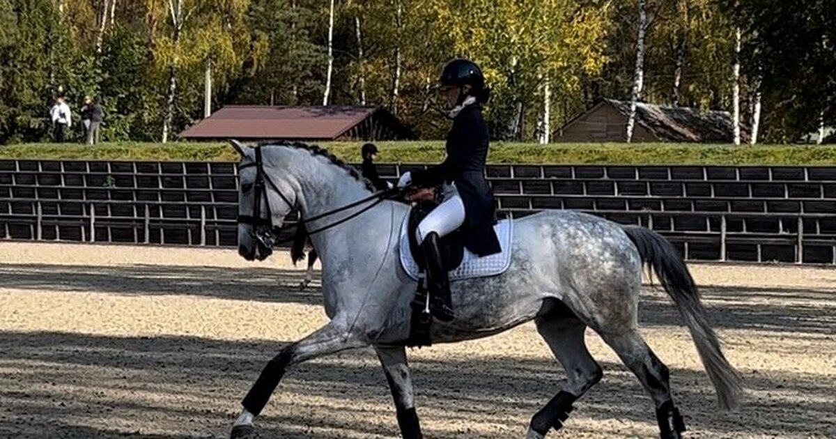 Конный спорт упражнения
