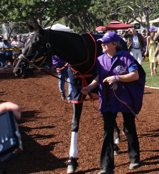 Ипподром Keeneland 2003 год, скачка Breeders' Cup Stakes