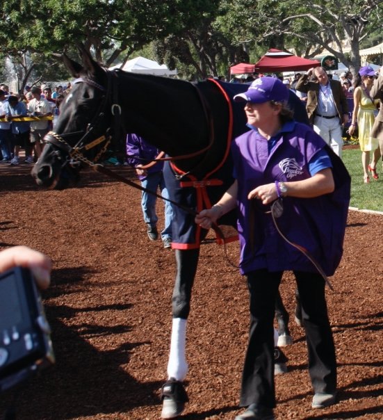 Ипподром Keeneland 2003 год, скачка Breeders' Cup Stakes