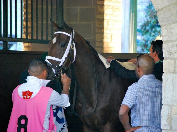 Ипподром Keeneland 2013 год, скачка JPMorgan Chase Jessamine Stakes - Gr. 3