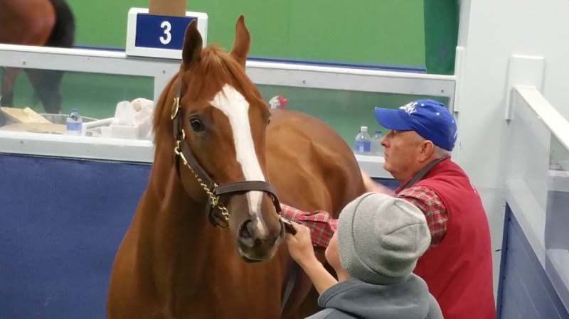 Oaklawn Park 2016 год.