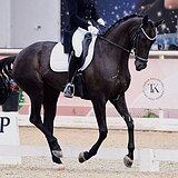 КОБЫЛА 10 ЛЕТ НА МП