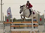 САМОВОЗ ДО 110