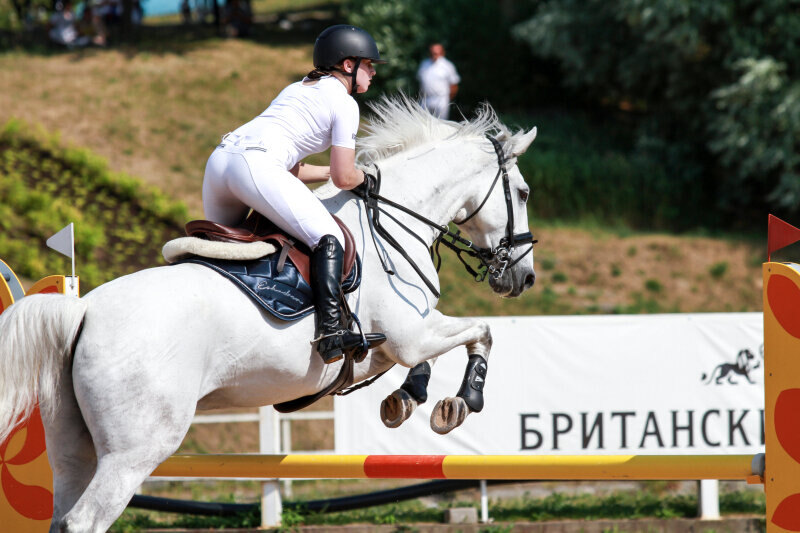 ГЭЛАКСИ Н и Старикова Ольга