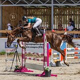 УНИВЕРСАЛЬНАЯ КОБЫЛА 9 ЛЕТ