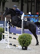 ВЫСОКАЯ КОБЫЛА В КОНКУР