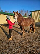 Советский тяжеловоз