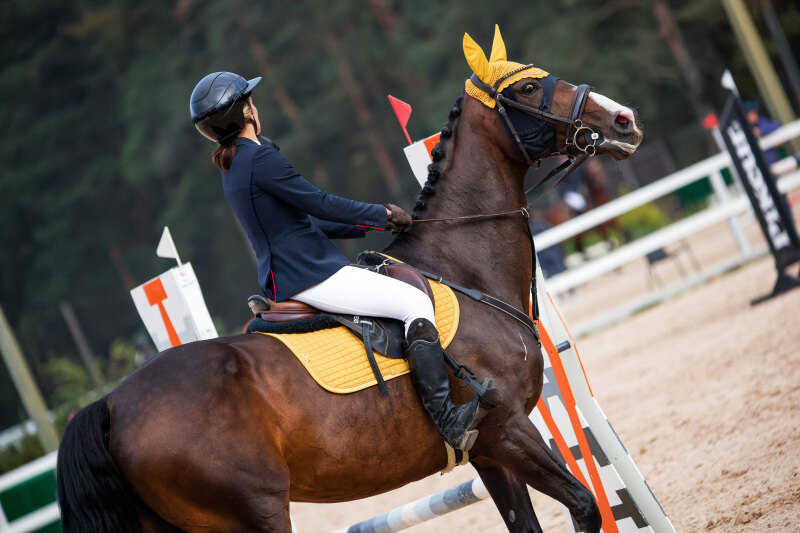 Ю-КОР ДЕ ЛА ВИЛЕ-14 и Таранкова Вероника