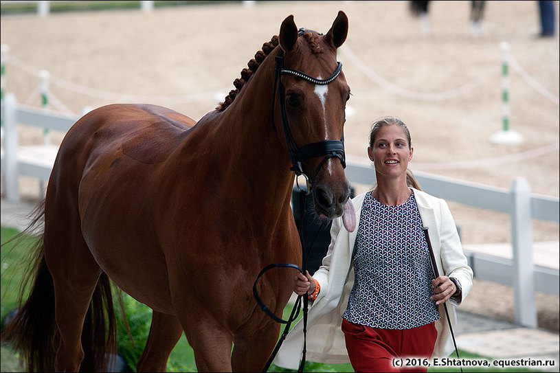 CORNELISSEN, Adelinde/Parsival