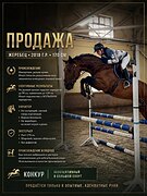 Перспективный конкурный ко