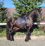 Фриз 0926
