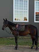 СУПЕР ДЕТСКИЙ, БЕЗОПАСНЫЙ