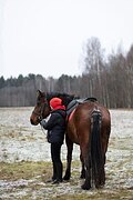 Кобыла