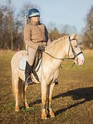 Флегматичный пони