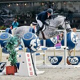 ЖЕРЕБЕЦ 5 ЛЕТ 168 СМ В ХОЛКЕ