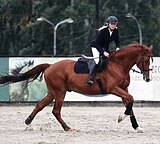 МАРШРУТЫ 115-120