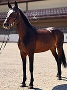 МАРШРУТЫ 110 - 115 СМ