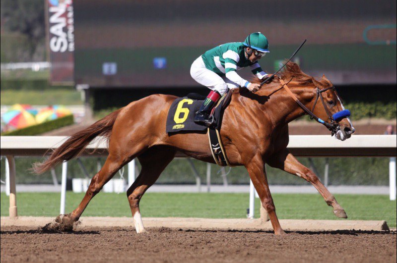 Ипподром Santa Anita Park 2016 год, скачка Maiden Special Weight