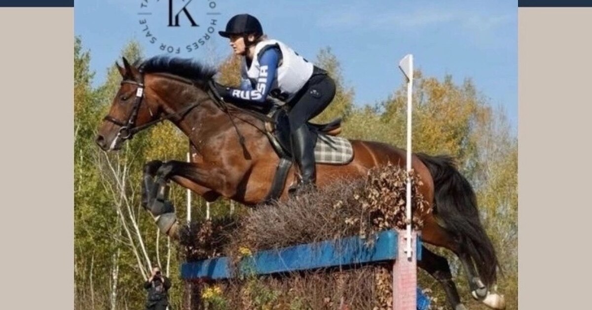 лучшие из лучших надпись. отличный результат литература. повышение по карьерной лестнице. успехов в работе. отличный результат литература.