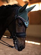 Ушки Equestrian Stockholm