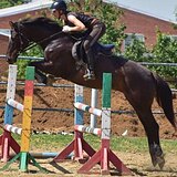 САМОВОЗ ПОД ЛЮБОГО 