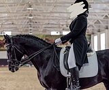 УРОВЕНЬ БП, МАРШРУТЫ 100