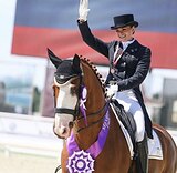 Работа со спортивными лошадьми. Maxima Stables