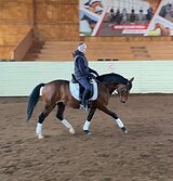 Спортивный пони 