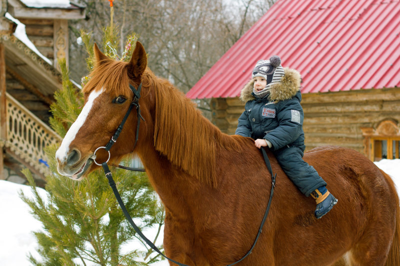 учимся уже ездить верхом)