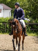 КОБЫЛА В БОЛЬШОЙ СПОРТ 