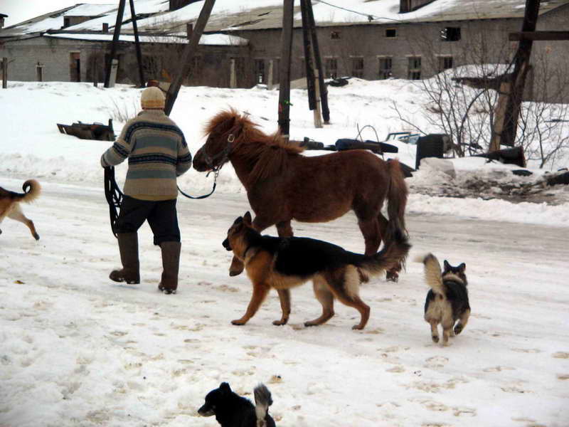 пенсионер Буян гуляет с друзьями