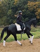 Высокий, вороной и крутой!