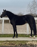  ЦЕНА СНИЖЕНА ДО 550 000