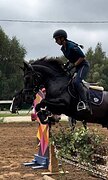 Хороший универсал. пони 147 в